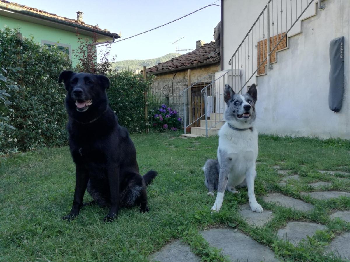 B & B Via Di Mezzo Coreglia Antelminelli Екстериор снимка